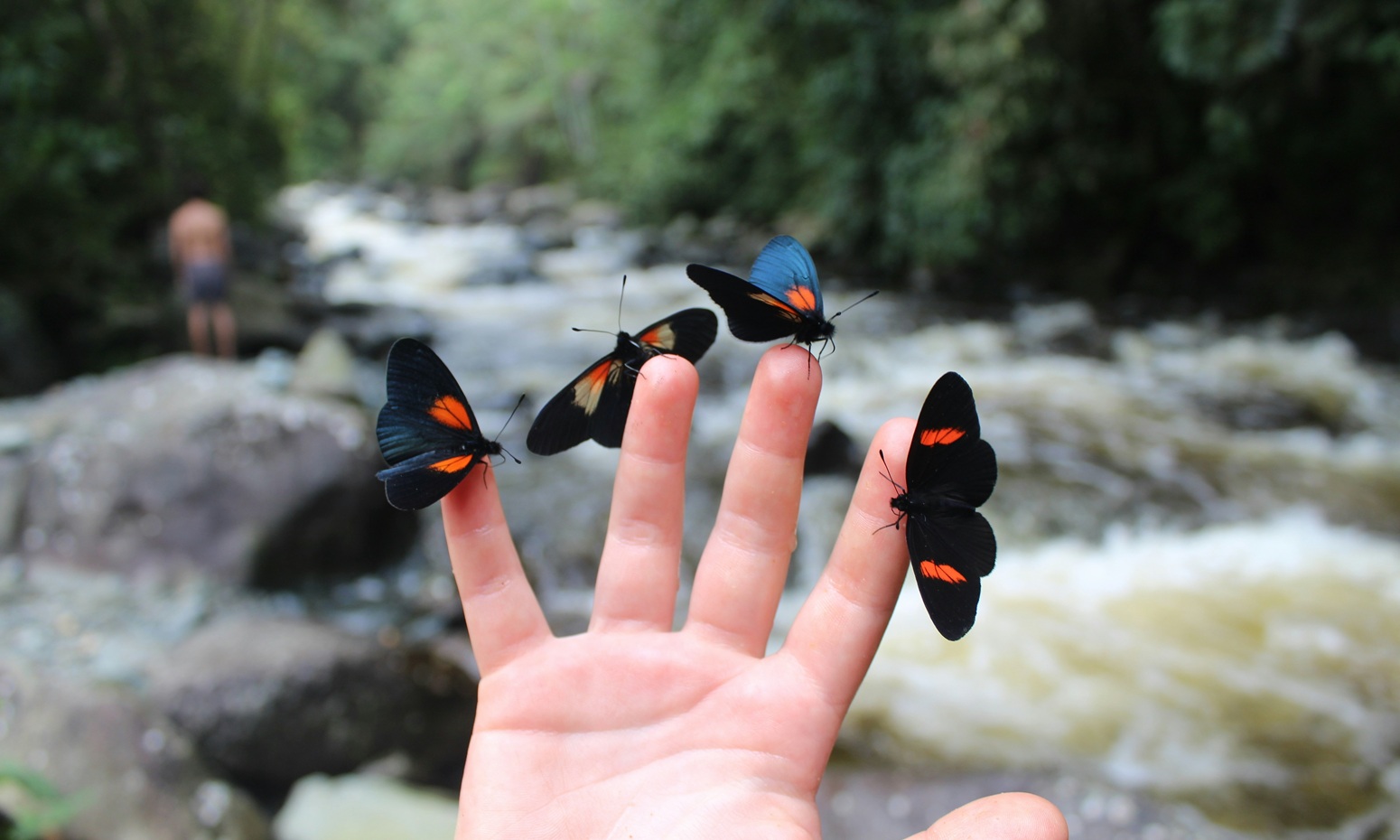 Gran viaje a colombia especial