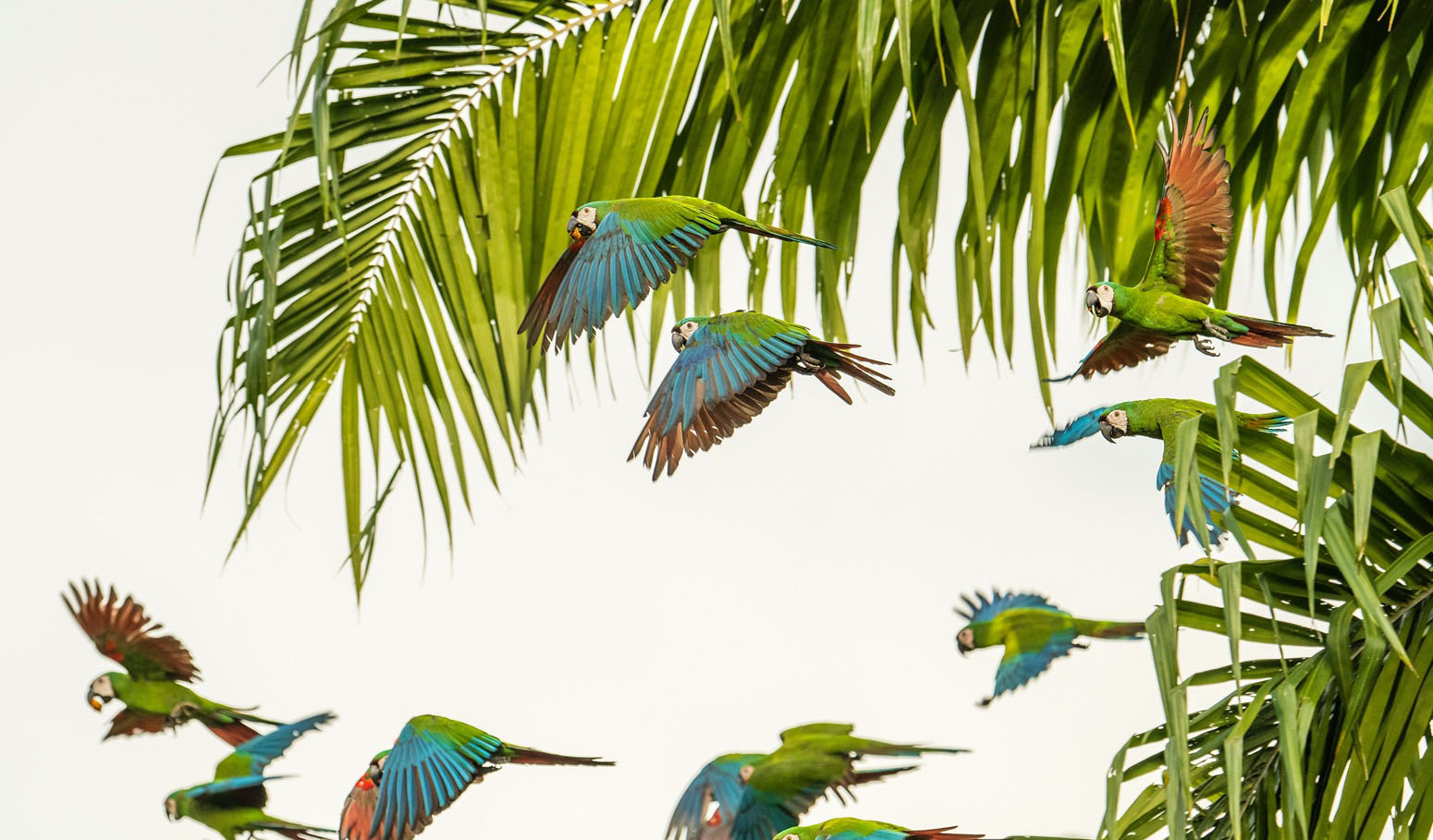 me gusta viajar a Colombia