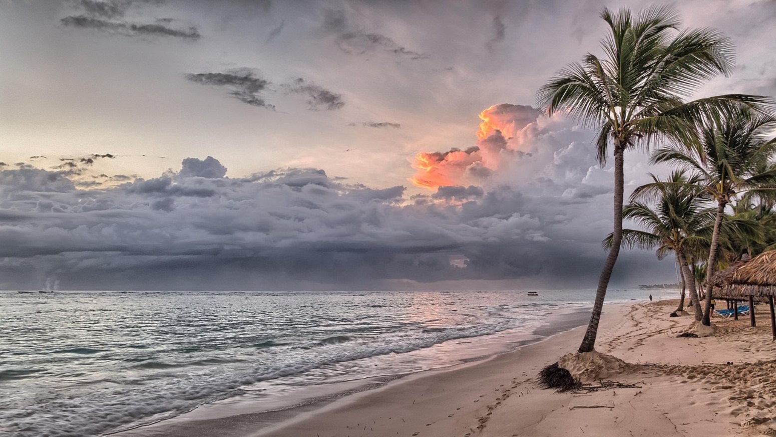 Atardecer entre palmeras en Punta Cana