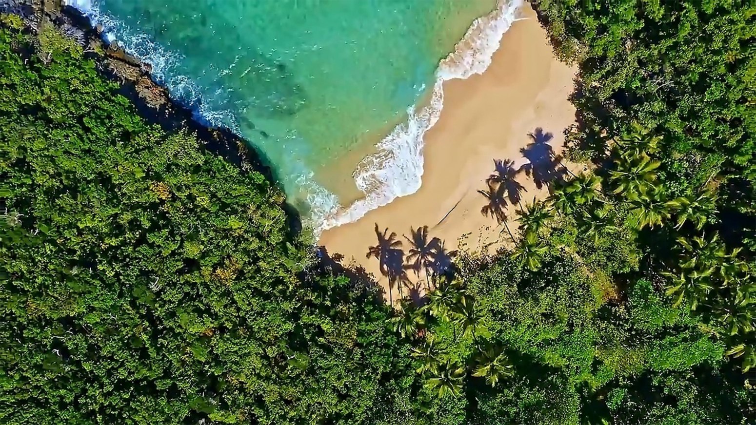 Playa rodeada de selva en Samaná, República Dominicana