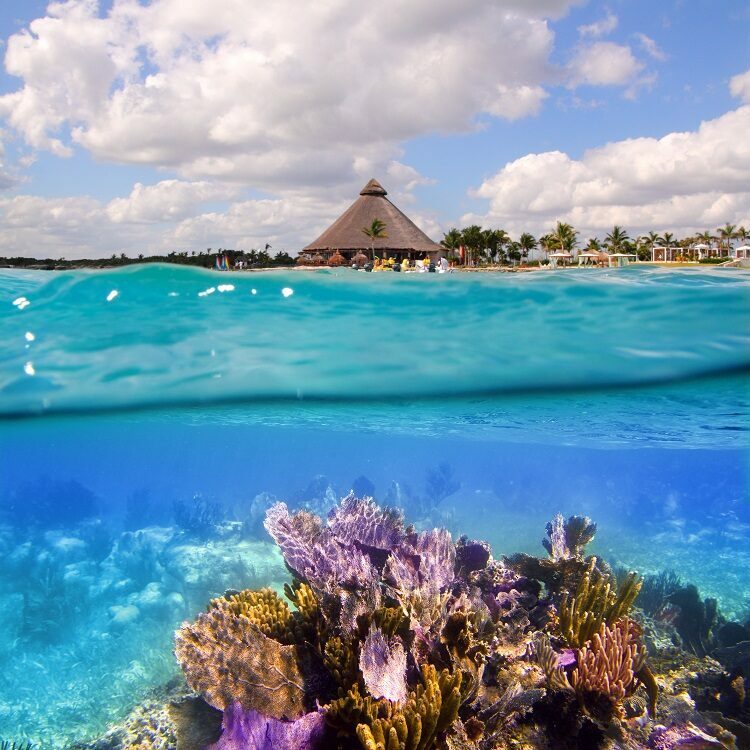 Playas Riviera maya, Resorts Riviera maya, Turismo Riviera maya, Caribe Riviera maya, Aventuras Riviera maya,