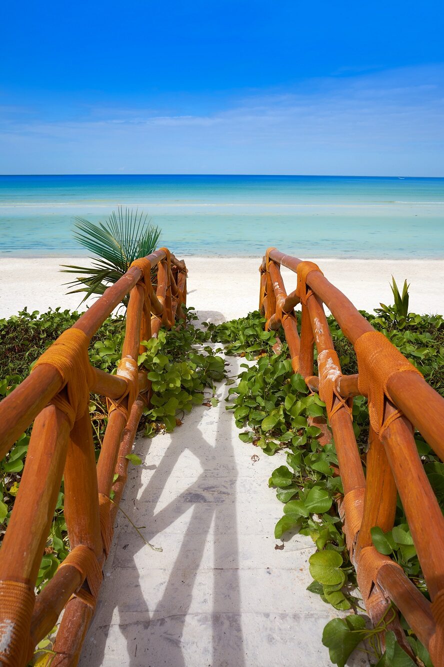 Sumérgete en la belleza del Caribe: vive la emoción en nuestros viajes de ensueño