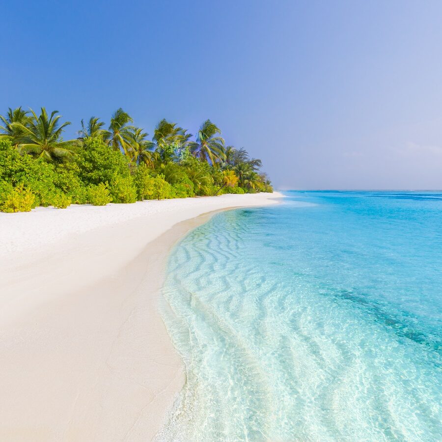 . Descubre las playas más espectaculares del Caribe