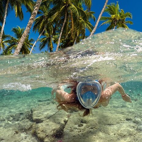 Snorkeling eva caribe