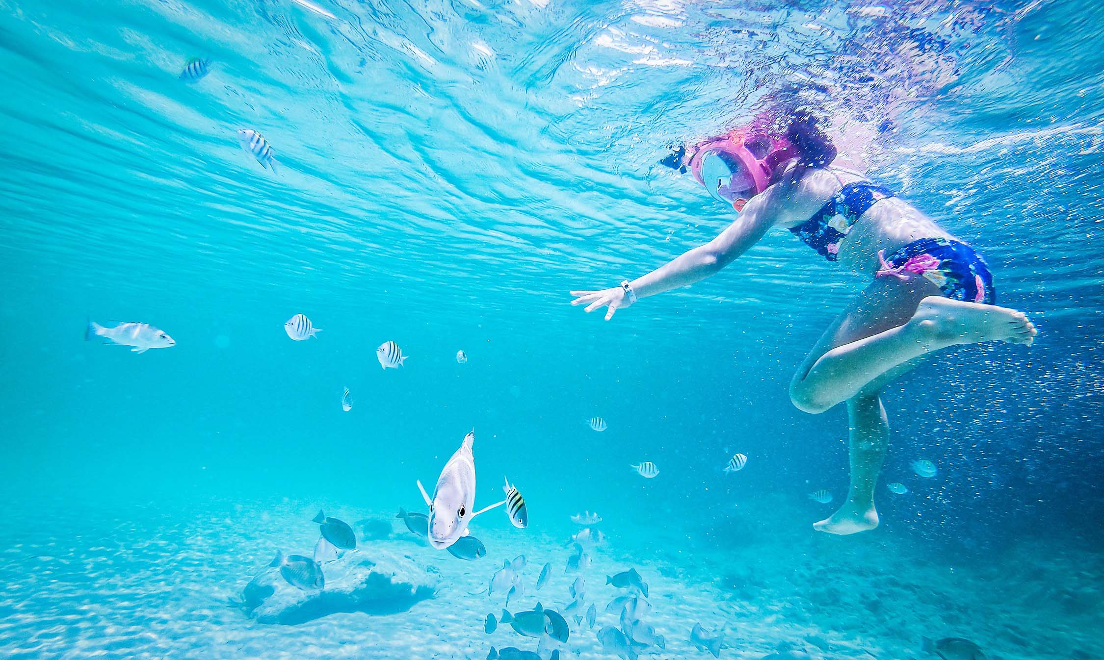 los mejores circuitos por el caribe viajes