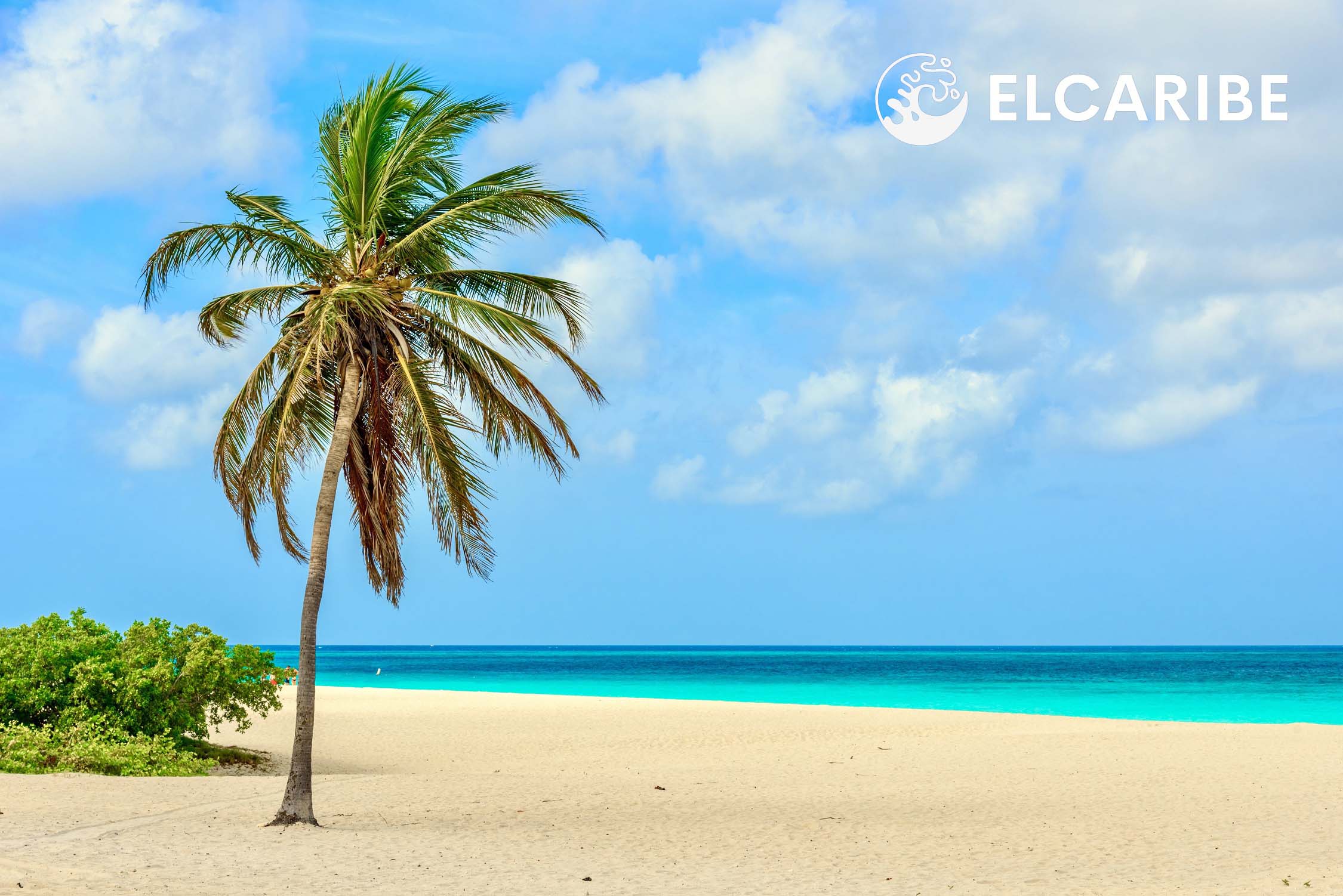 Beach in Aruba