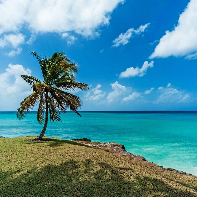 VIAJES AL CARIBE BARBADOS