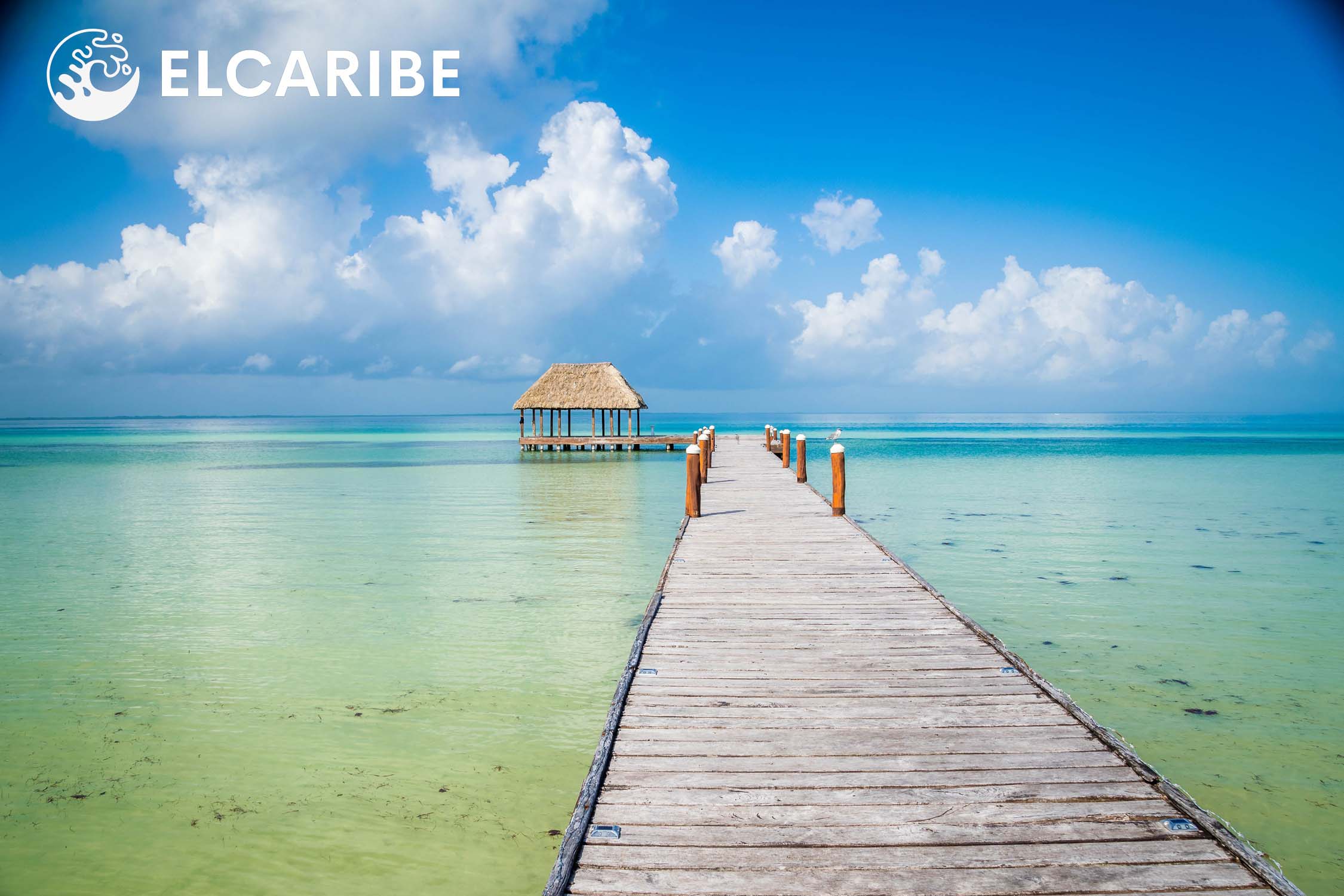 isla de holbox caribe viajes