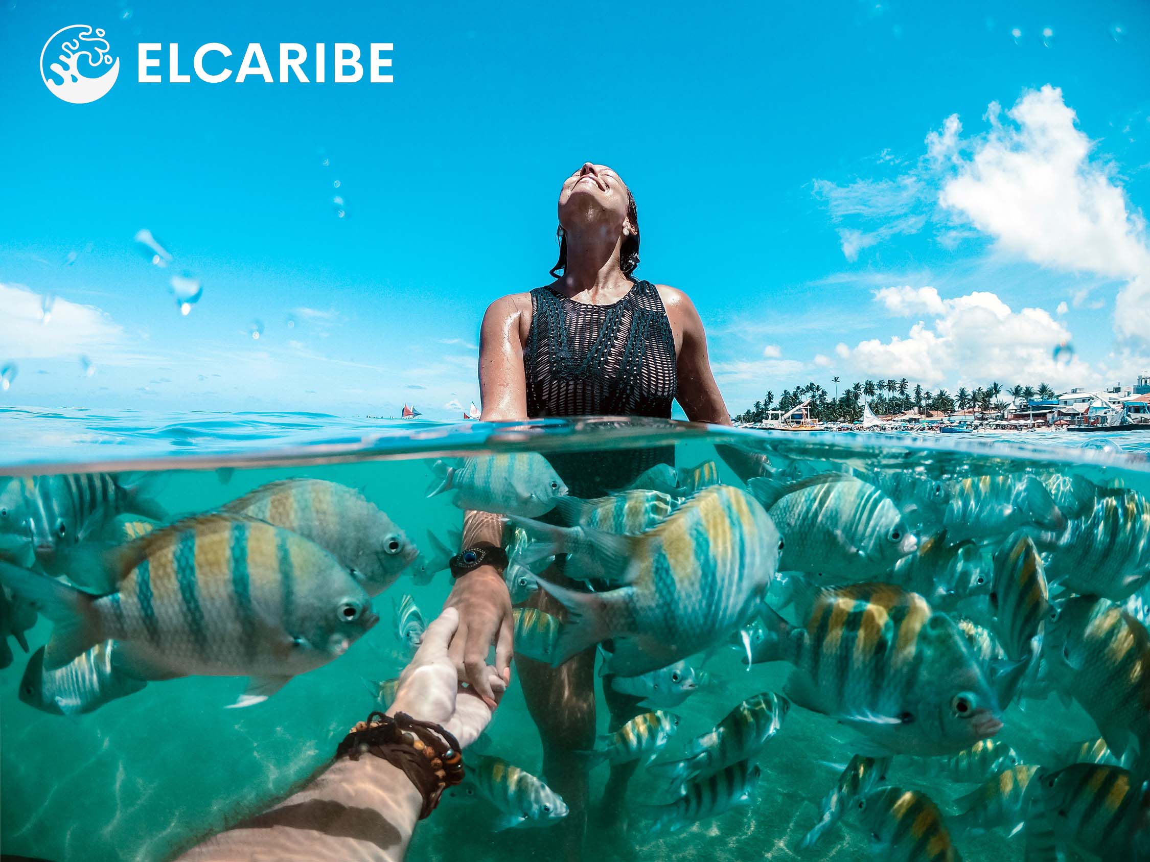 la agencia no agencia para viajar al Caribe