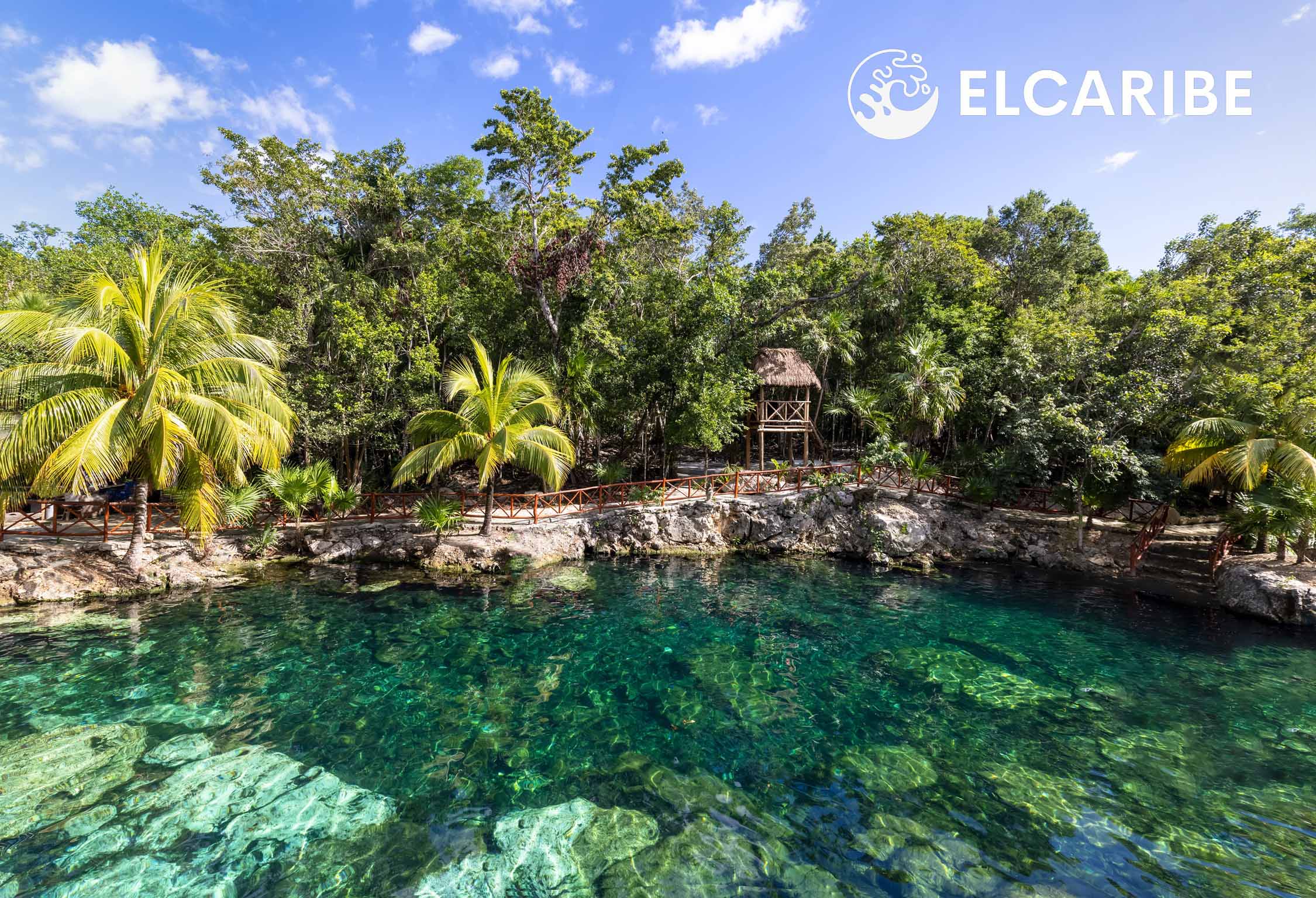 Mexico tourism destination, Cenote Casa Tortuga near Tulum and Playa Del Carmen