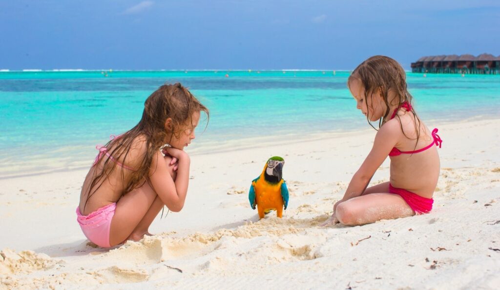 Planes con niños en Punta Cana en familia