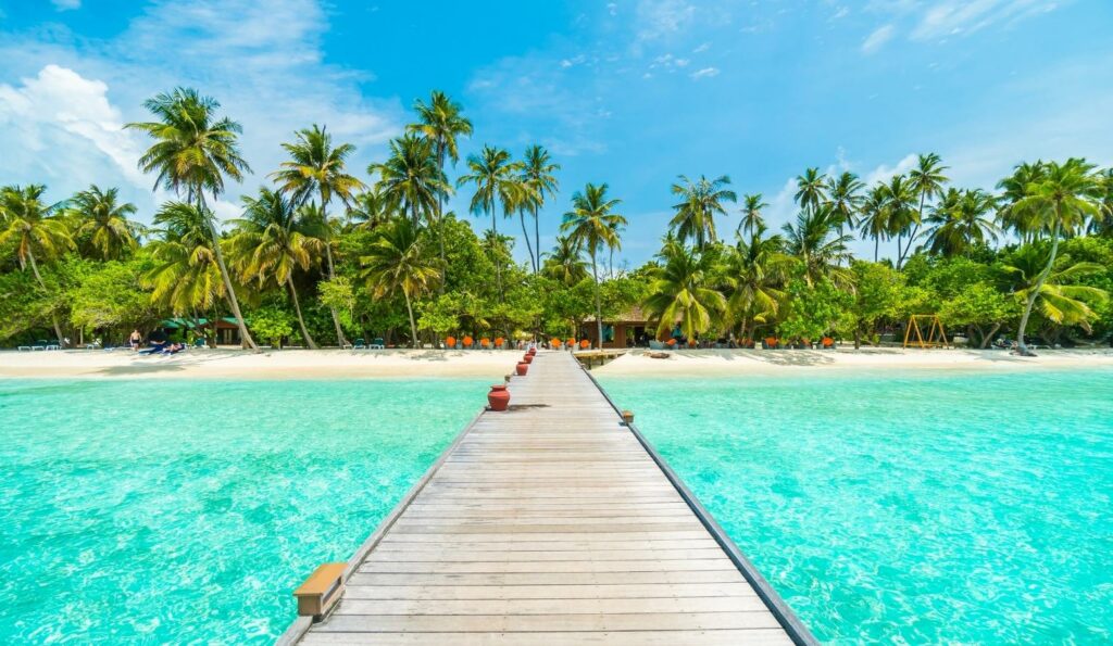 ofertas de viajes al caribe 2025 lo mejor del caribe para familias con niños