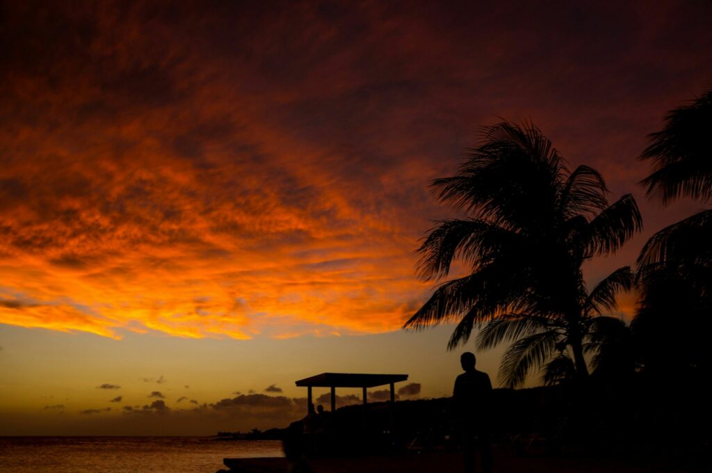 Atardecer de fuego entre palmeras