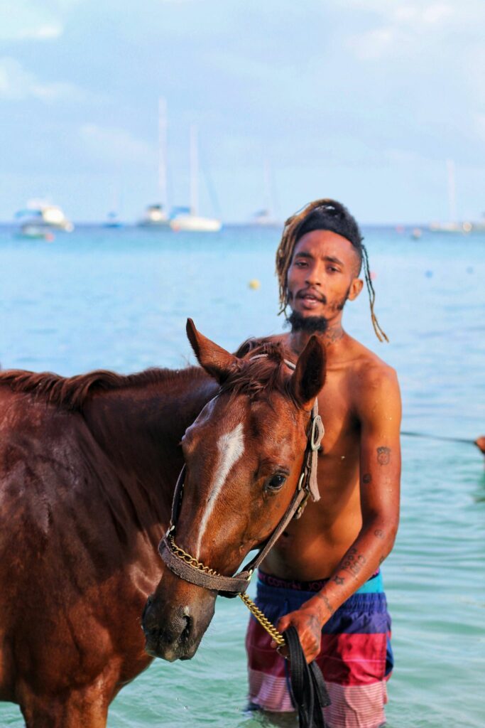 Baño de caballos al amanecer