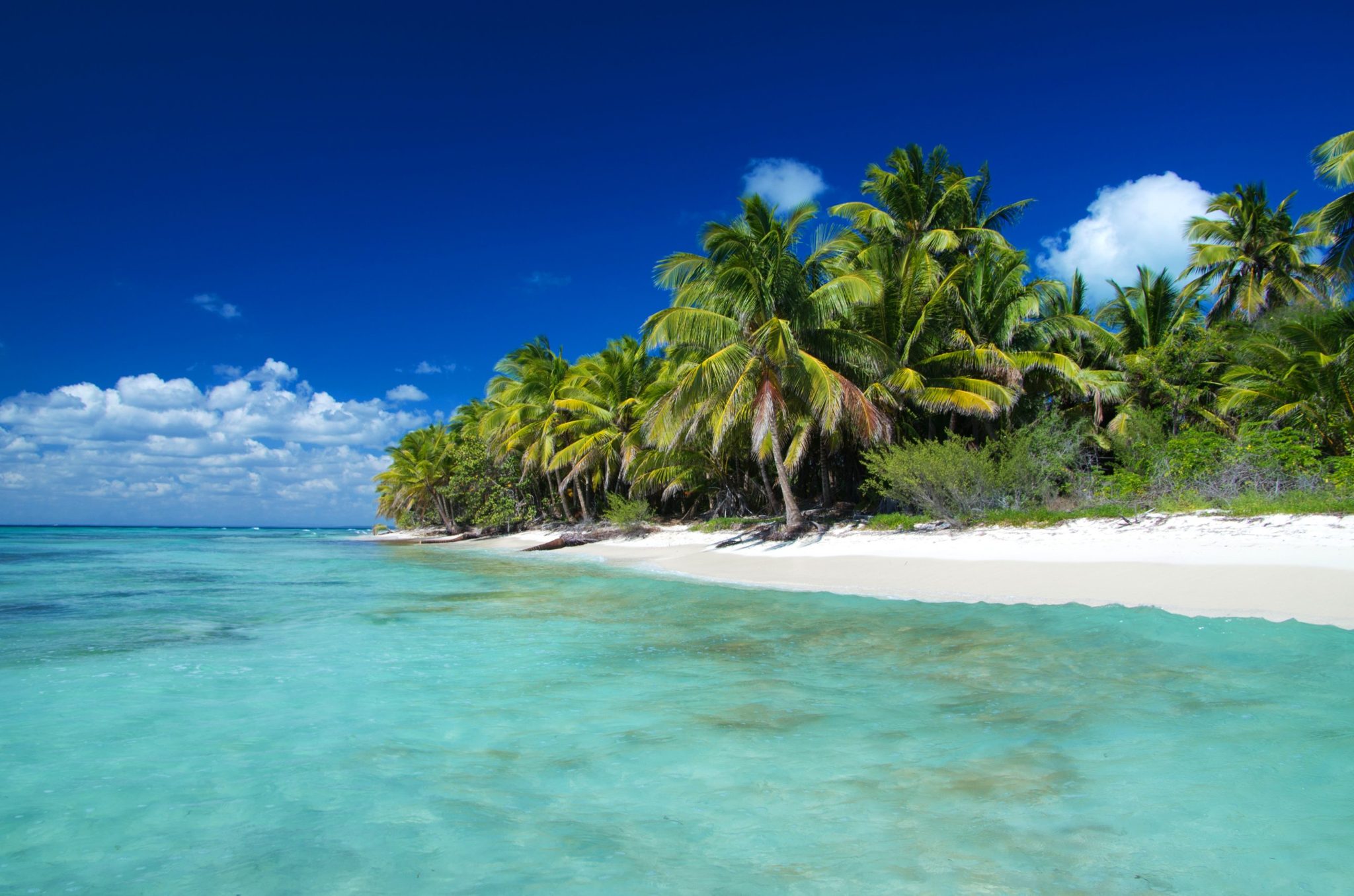 Playa virgen de cocoteros y agua turquesa en República Dominicana